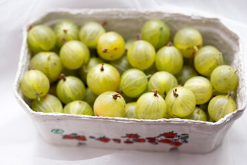Gooseberry in cartoon punnet, daylight 