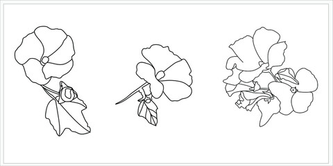 Summer flowers pattern.Image on white and colored background.