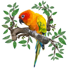 low polygonal vector of sun conure parrot bird.