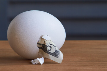 Five dollar bill hatching from egg on natural background, selective focus