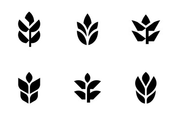 Set of Wheat logo. Icon design. Template elements