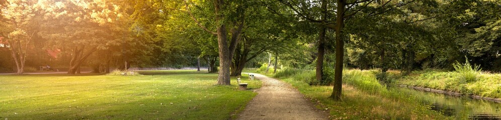 Panorama of the park with the river, summer time. Forest landscape.