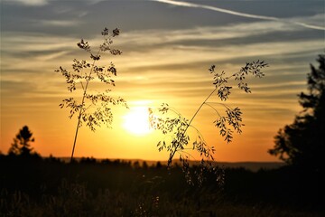 Naklejka premium coucher de soleil