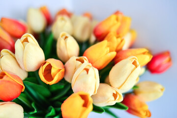 Tulips of different colors with orange oranges