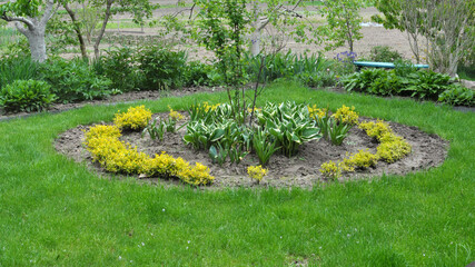 Design of landscaping in the garden, park, square, recreation area