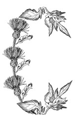 letters from the devil break; graphic black and white drawing of the font; a unique witch grass font for postcards, magic illustrations for Halloween
