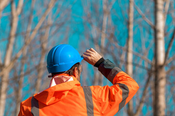 Forestry technician looking up at treetops