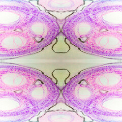 Colored Round,square, Triangular Design Elements.