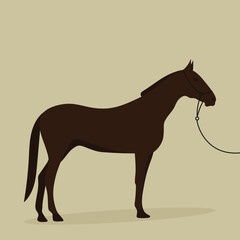 Brown horse with a bridle on a beige background