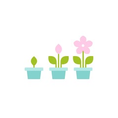 3 plant in pots with green leaves and flower. Growing process vector flat icon.