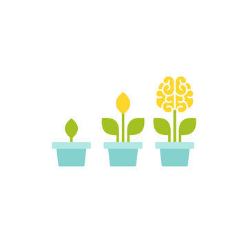 Flower brain with green leaves in blue pot.