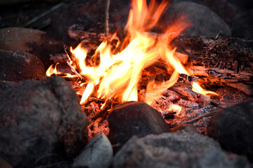 
Warming evening bonfire in nature