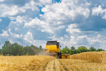 Selective focus on working combine in field with dry wheat. Gathering wheat.