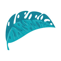 tropical nature leave on white background