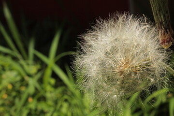 Pequeños detalles de la vida.  © Samuel