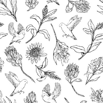 Hand drawn vector seamless pattern of parrots lovebirds and exotic flowers. Realistic bird and plant background Vintage tropical monochrome design for wallpaper, wrap, textile, postcard, print, fabric
