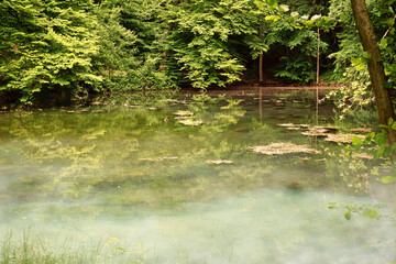 Blick auf den Apenteich bei Winzenburg im Morgennebel - 
View of the Apenteich near Winzenburg in the morning mist