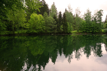 Ein Blick auf den Hilsbornsteich bei Grünenplan in der Nähe von Delligsen im Hils - A view of the Hilsbornsteich near Grünenplan near Delligsen in Hils	