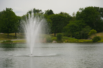 Naklejka premium A city park on a summer day