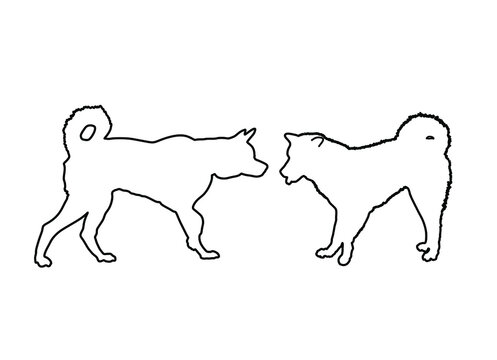 Siberian Husky dog couple in love, vector line contour silhouette illustration. Beware of dog pet.