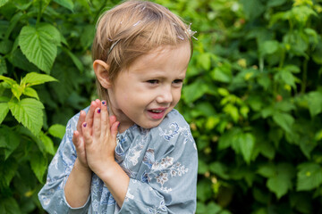 little girl picks fresh raspberries from a bush .