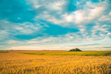 Obraz premium Krajobraz rolnictwa