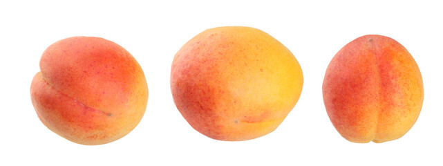 apricots isolated on white background macro