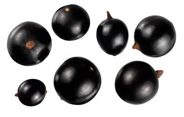 black currant top view isolated on white background