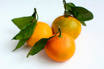 Three tangerines with leaves on a white background
