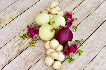 Fresh organic produce arranged in artistic table centrepiece for harvest dinner