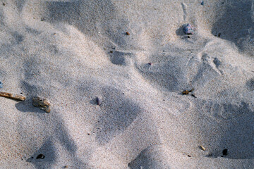 Nahaufnahme von Sand am Strand der Ostsee