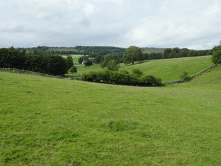 Obraz premium Landscape