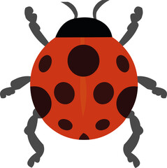 Vector illustration of a ladybug