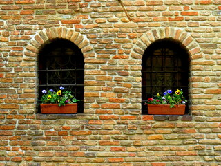 Potted flowers, two windows, brick wall