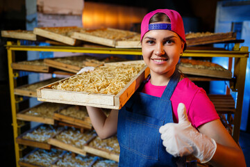 The girl works on the production of spaghetti. Making noodles. Pasta factory. Stage production of pasta. Raw noodles. Worker with a box of pasta.