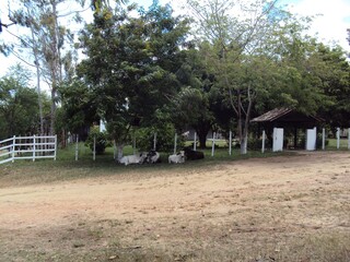 &Aacute;rea rural da cidade de Nazar&eacute; da Mata em Pernambuco