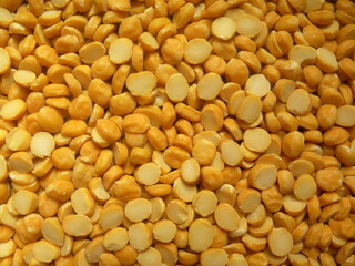 Yellow color split raw Chana dal or chickpeas lentils