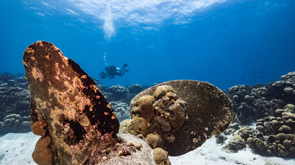 Ship wreck in turquoise water of coral reef in Caribbean sea / Curacao with diver in background