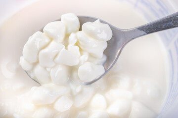 Tasty cow's milk cheese. White cottage cheese on a teaspoon.