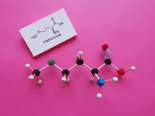 Molecular structure model and structural chemical formula of methionine molecule. Methionine (Met...