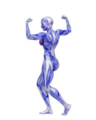 female bodybuilding in muscle maps is doing a bodybuilder pose one in white background close up view