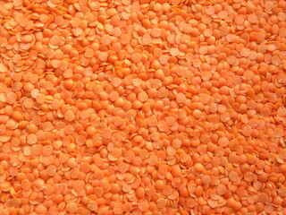 Red color dry Masoor dal lentils