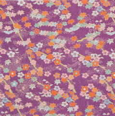 背景素材にスタジオ撮影