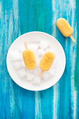 Homemade apricot or peach ice cream