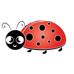 Fototapeta premium Isolated cute ladybug cartoon