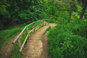 summer park nature photography top view green grass and lonely narrow stairway for walking fresh air