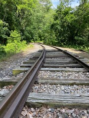 Fototapeta na wymiar Railroad in the forest