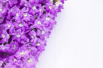 Frame made of lilac delphinium flowers on a white plank background. Top view. Copy space.