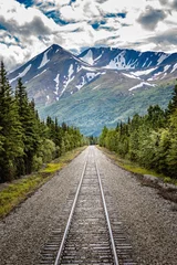 Fototapete Denali Eisenbahn zum Denali-Nationalpark in Alaska mit beeindruckenden Bergen