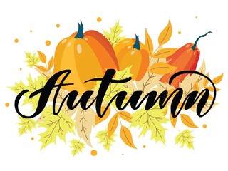 Modern lettering illustration, on a background of autumn leaves and pumpkins, as a poster, postcard, invitation template, advertisement.  Seasons congratulations concept.  Vector illustration